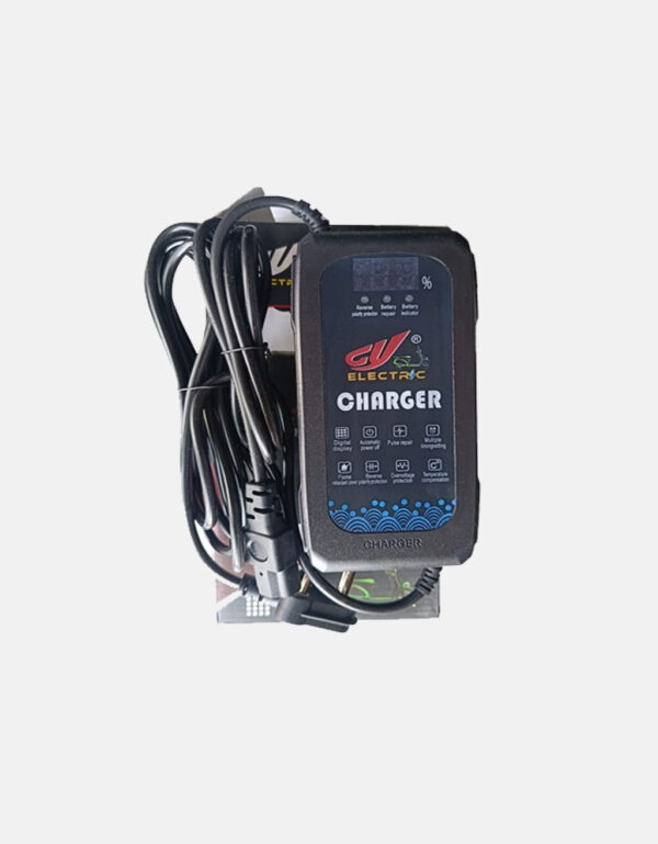 Lead Acid Battery charger 48V 3A with Display